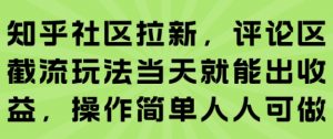 知乎社区拉新，评论区截流玩法当天就能出收益，操作简单人人可做-大齐资源站