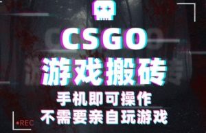 CSGO游戏挂G捡漏,单日扫货5张+,年底小高峰上车可吃肉,手机即可操作,兼职副业创业网创【揭秘】-大齐资源站