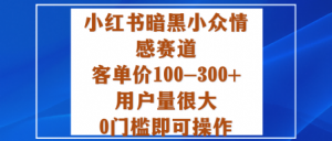 小红书暗黑小众情感赛道，客单价100-300+用户量很大，0门槛即可操作-大齐资源站