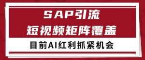 小红书某音sap赛道引流获客 自热矩阵日引200+【揭秘】-大齐资源站