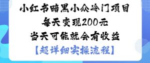 小红书暗黑小众冷门项目每天变现2张当天可能就会有收益-大齐资源站