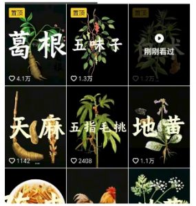 抖音中草药赛道,用AI做中草药故事视频,45条作品涨粉13W,橱窗带货猛猛出单-大齐资源站