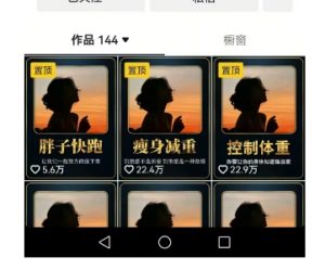 超高变现的短视频减肥细分赛道，减肥账号抖音实战训练营-大齐资源站