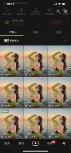 9月最新抖音卡特效搬运技术，一刀不剪，轻松过原创，苹果安卓可以-大齐资源站