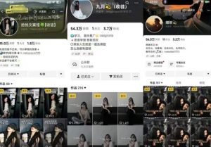 抖音图文文案赛道新玩法，快速养号起号，广告收益分成+橱窗带货+教学收徒等-大齐资源站