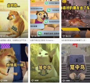 狗头幸运星UE5动画全套课程,从入门到实操全掌握-大齐资源站