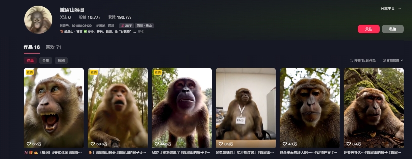 最新爆火的峨眉山猴子短视频制作教程，条条点赞10w+，谁做谁火【教程+提示词】-大齐资源站