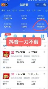 抖音短视频一刀不剪带货，不剪辑，不直播，每天发个视频，等着出单获取带货佣金-大齐资源站