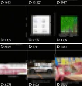 抖音引流创业粉教程，创业粉终于跑通了，私域是永远的王-大齐资源站